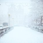 Winter Sports B&B - road covered by snow near vehicle traveling at daytime