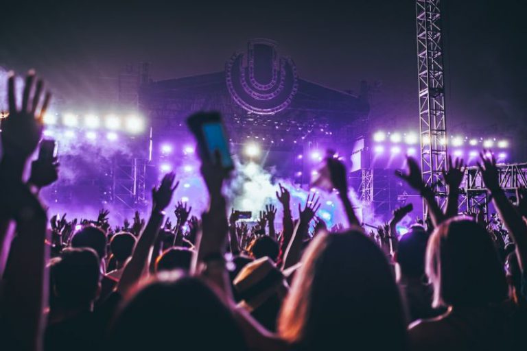 Music Festival - group of people raising there hands in concert