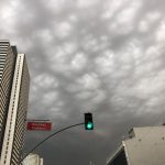 Nature Event - a green traffic light in front of tall buildings