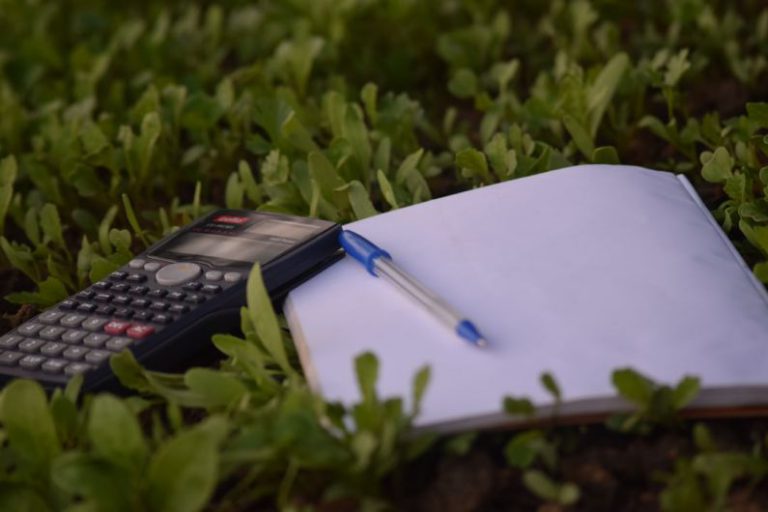 Excellent Budget B&B - blue ballpoint pen on paper beside calculator