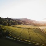 English Countryside - green grass field