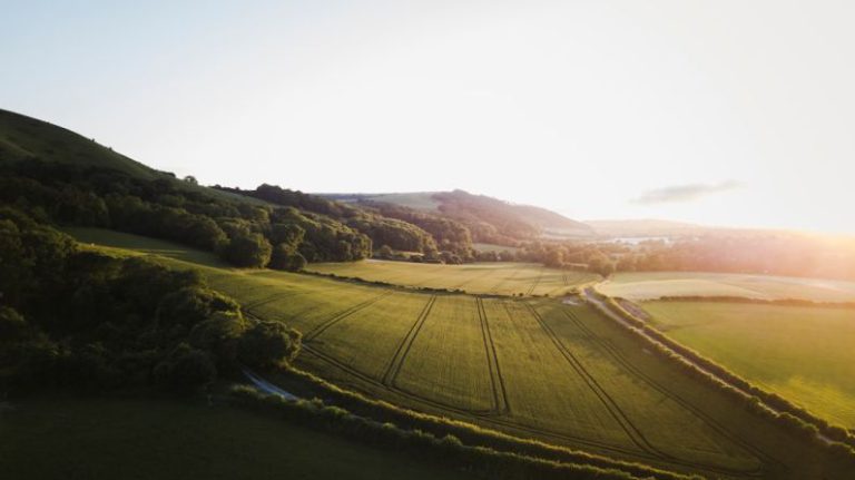 English Countryside - green grass field
