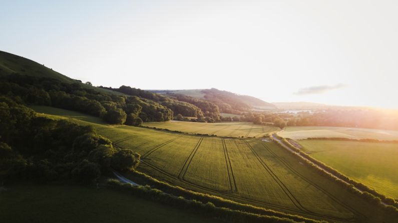 English Countryside - green grass field