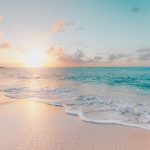 Caribbean Beach - seashore during golden hour
