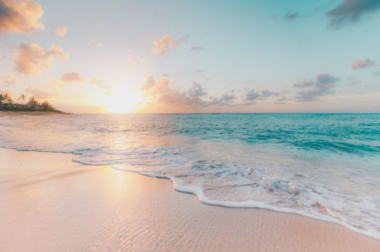Caribbean Beach - seashore during golden hour