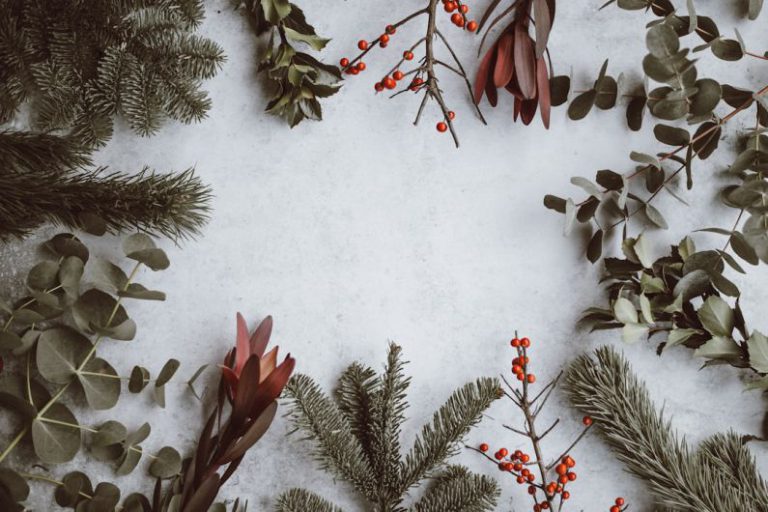 Christmas B&B - assorted-type of leaves lying on white panel